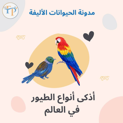 باهوش ترین پرنده جهان: باهوش ترین پرنده جهان را بیاموزید