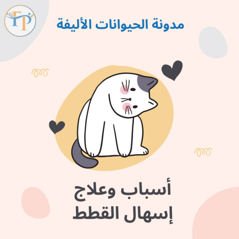 Cats Diarrhea: در مورد دلایل و روش های آن برای درمان آن در خانه بیاموزید