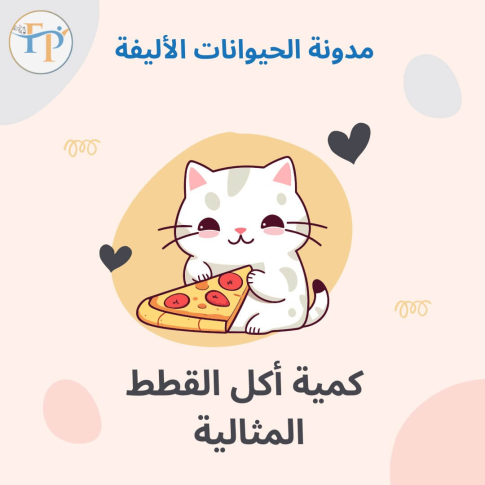 نحوه تعیین مقدار بهینه خوردن گربه ها