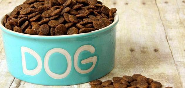 بهترین غذای سگ - موضوع