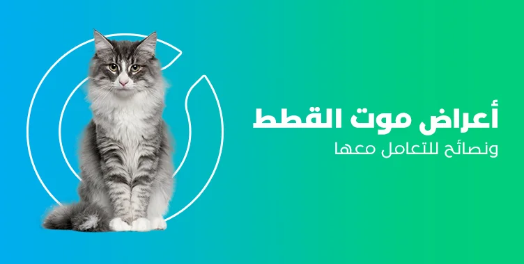د. ماريان أديب