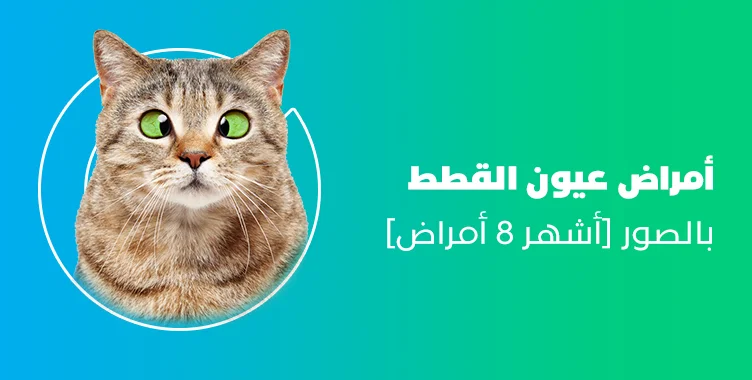 د. ماريان أديب