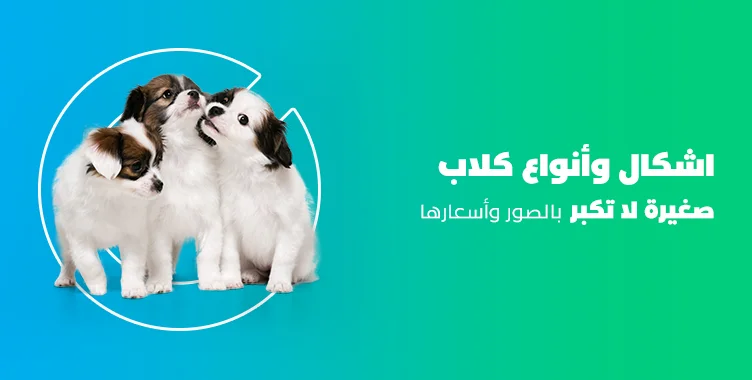 د. ماريان أديب