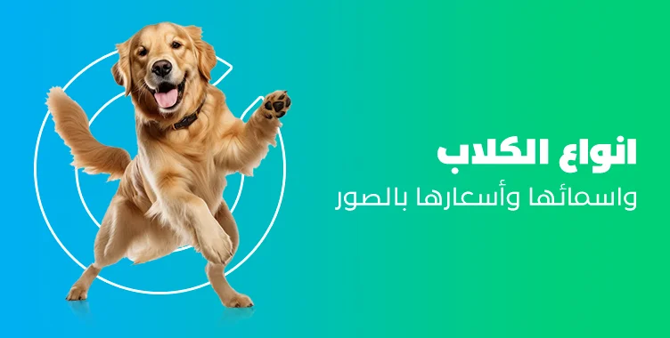 د. ماريان أديب