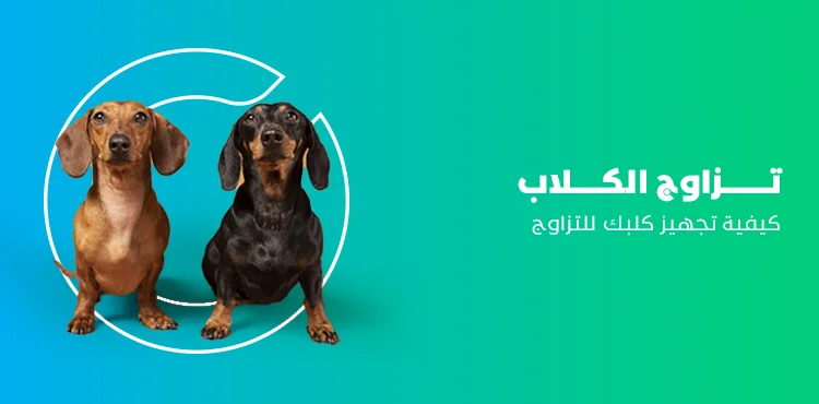 د. ماريان أديب