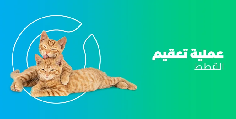 د. ماريان أديب