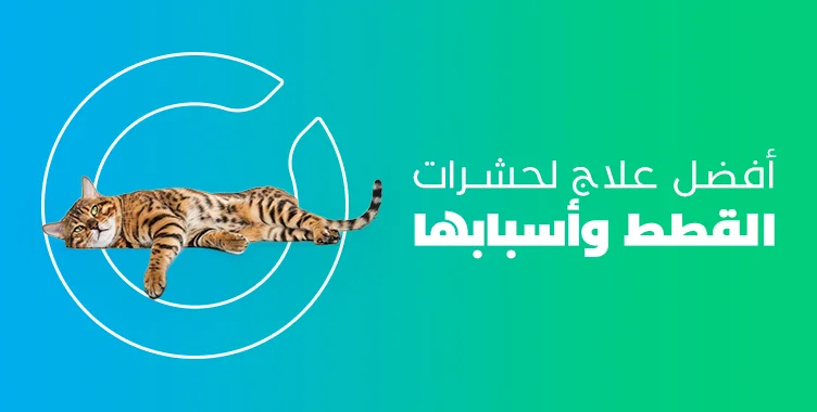 د. ماريان أديب