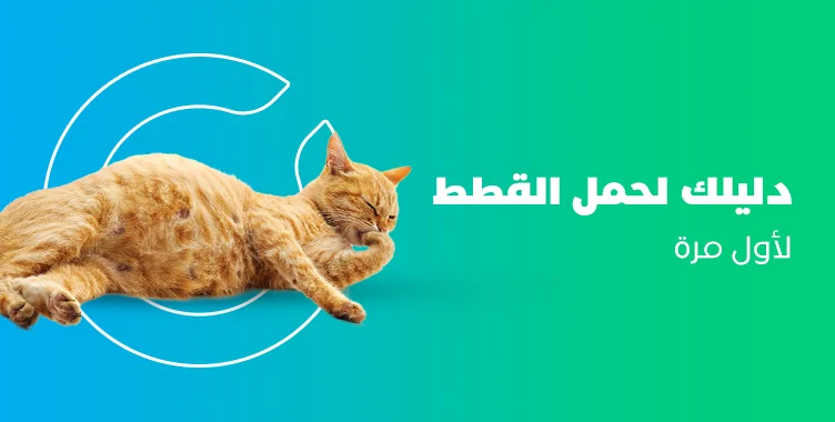 د. ماريان أديب