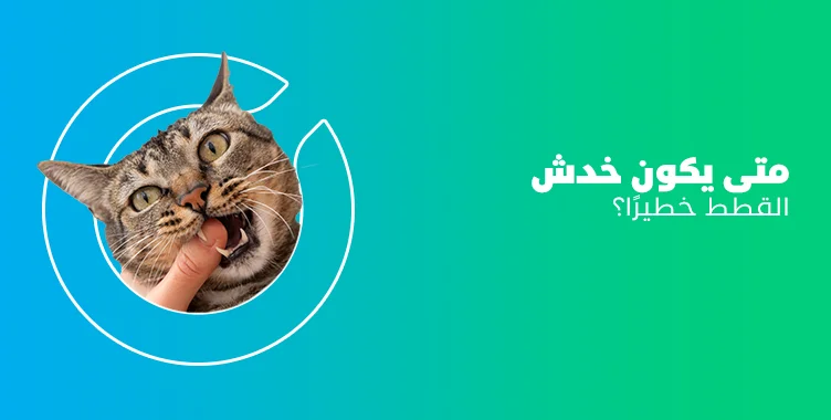 د. ماريان أديب