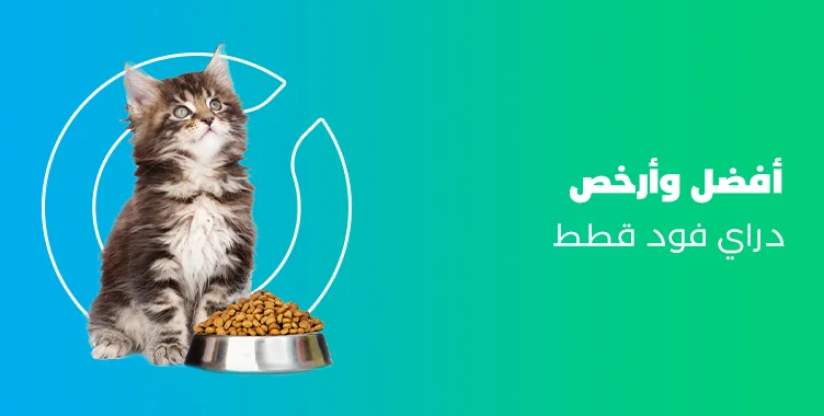 د. ماريان أديب