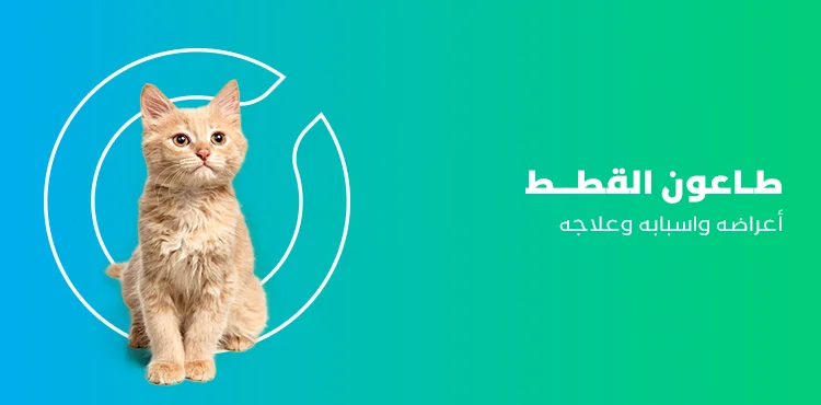 د. ماريان أديب