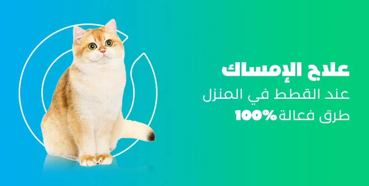د. ماريان أديب