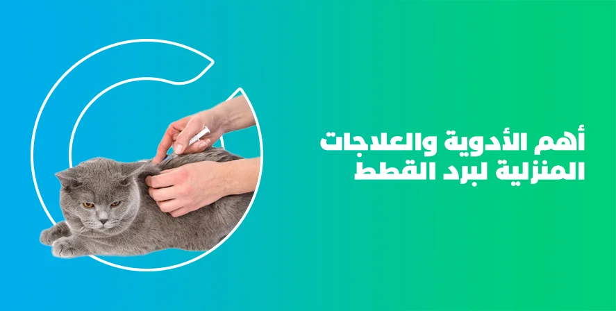 د. ماريان أديب