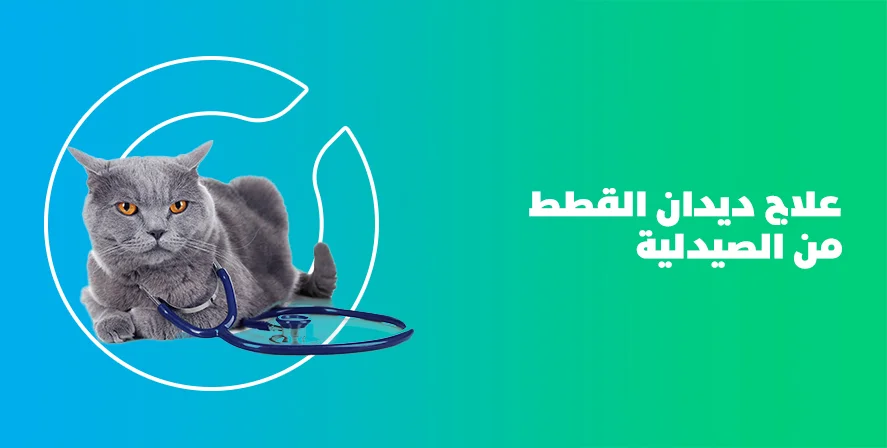 د. ماريان أديب