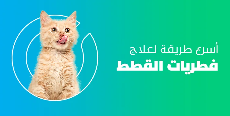 د. ماريان أديب