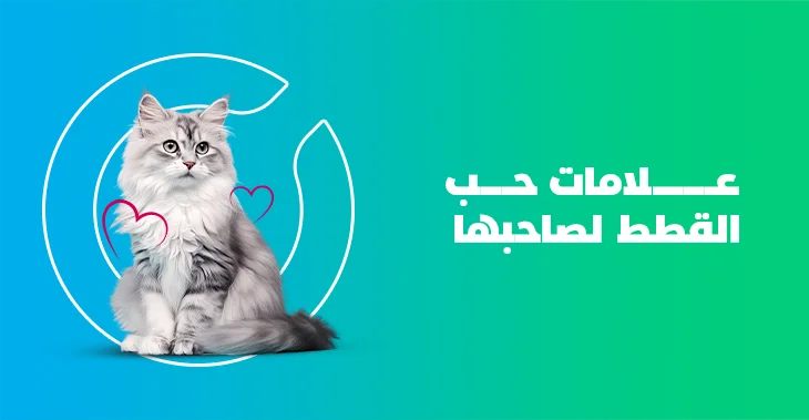 د. ماريان أديب