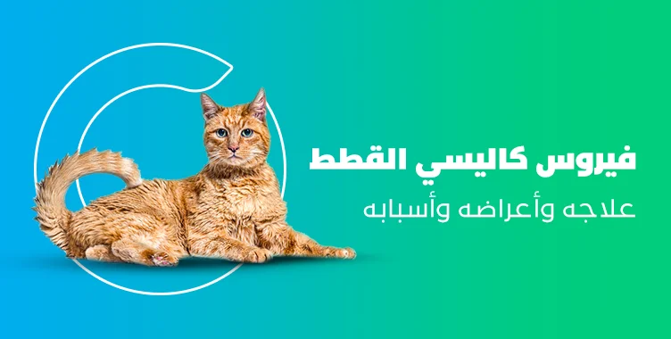 د. ماريان أديب
