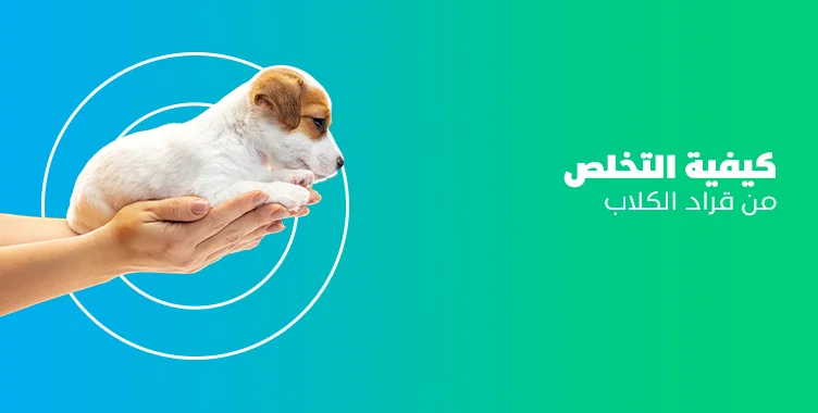 د. ماريان أديب