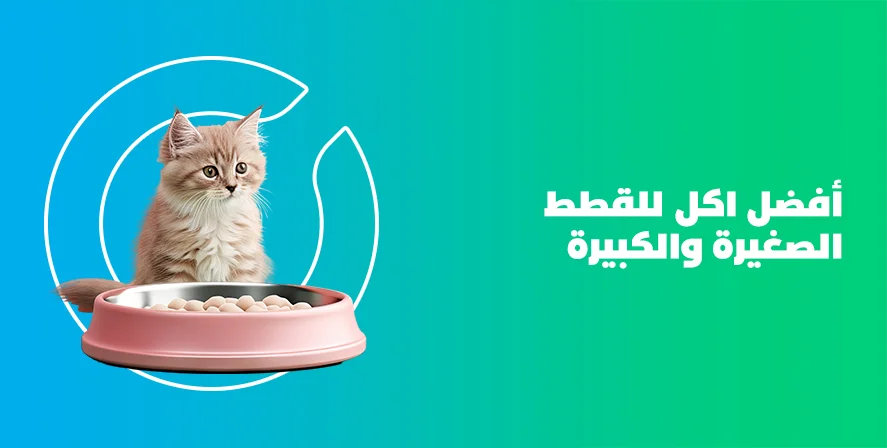 د. ماريان أديب