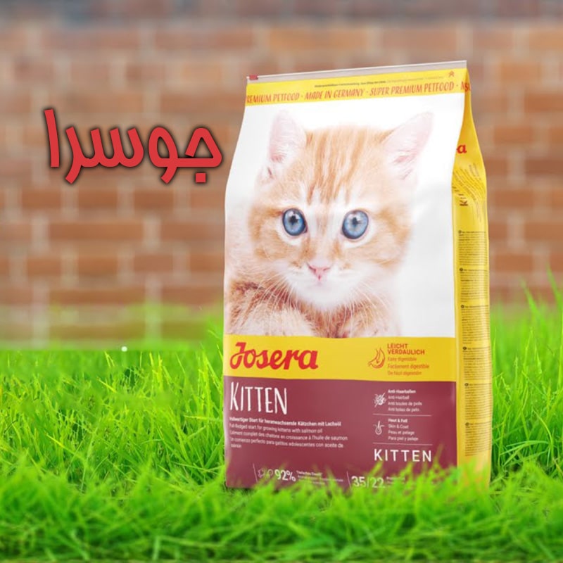 غذای خشک گربه جوسرا