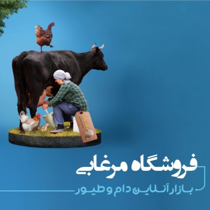فروشگاه مرغابی