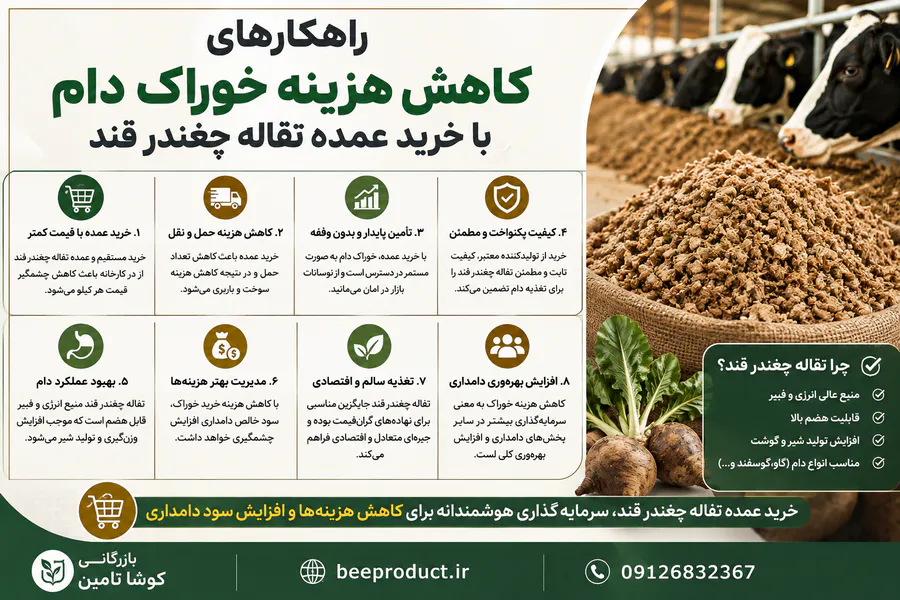 راهکارهای کاهش هزینه خوراک دام با خرید عمده تفاله چغندر قند