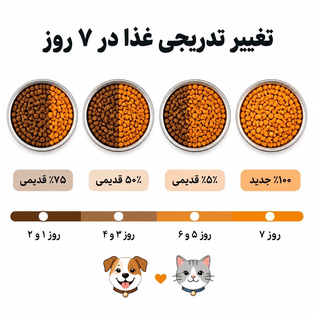 تغییر تدریجی غذا برای سگ و گربه